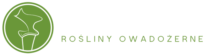 Barisana